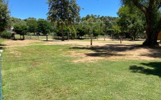 Peaceful grassy park with scattered trees and areas of shade, perfect for outdoor activities